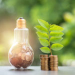 How to Manage a Greener Business